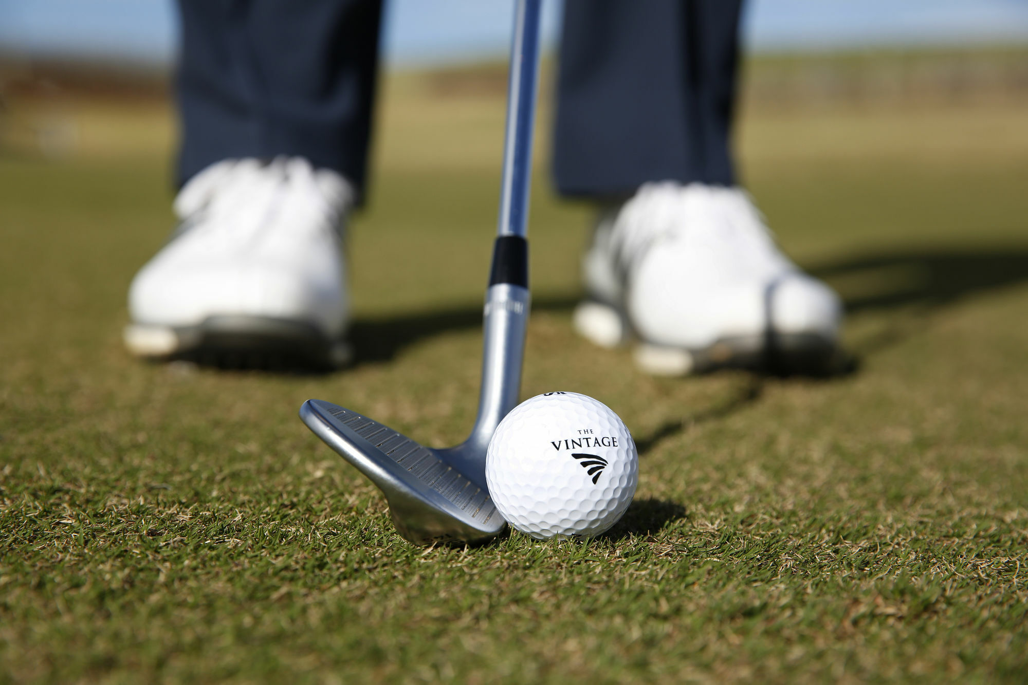 Chateau Elan At The Vintage Поколбин Экстерьер фото Golf ball and club